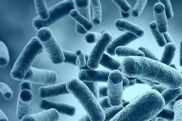 又一知名餐飲店被檢測出大腸桿菌超標！