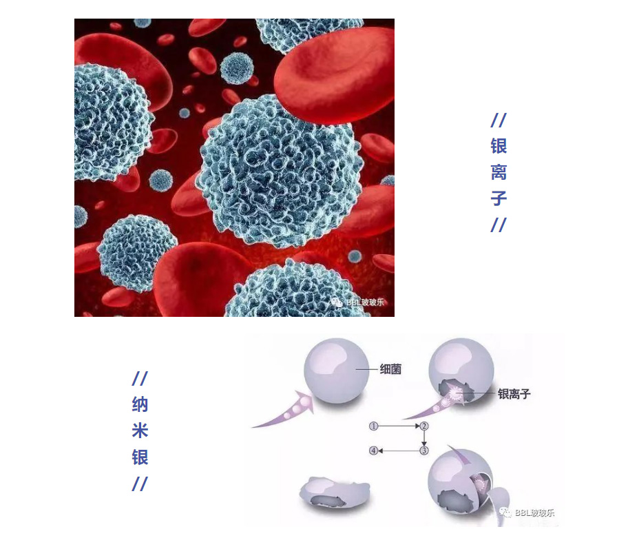 1732341857819099.jpg 01.jpg